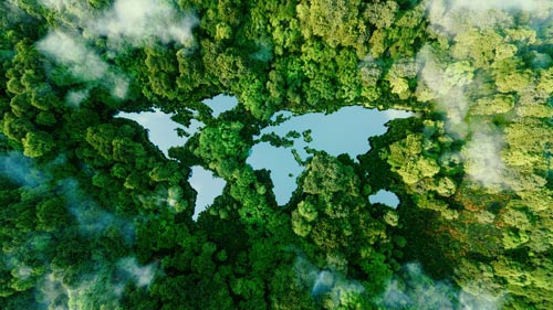 
A forest with lakes shaped like the world