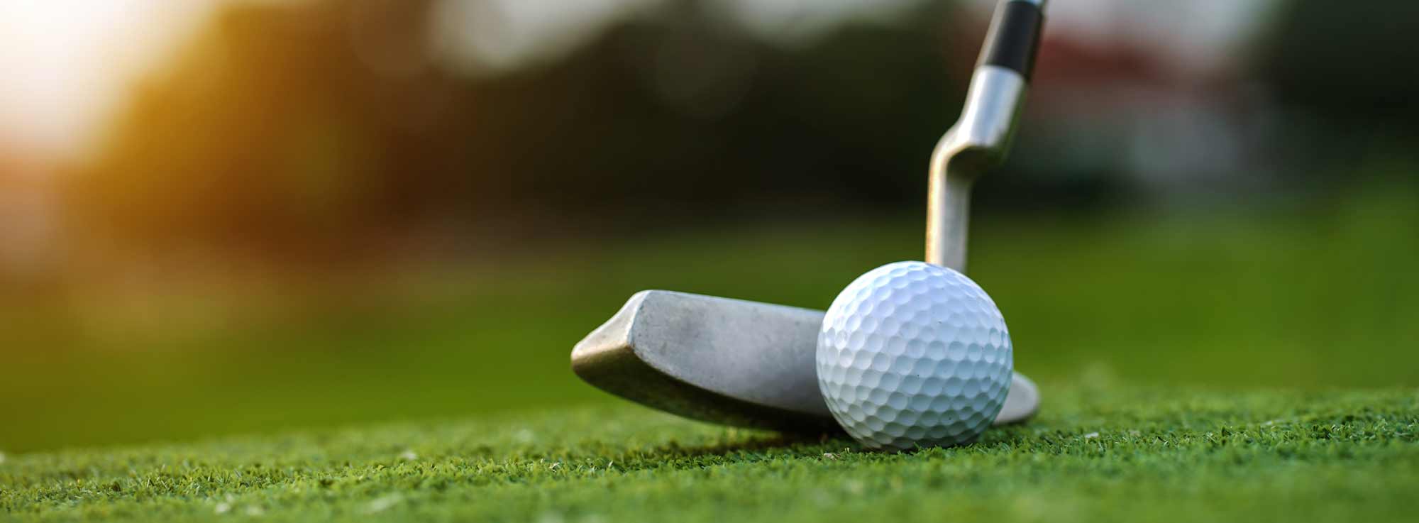 A golf putter